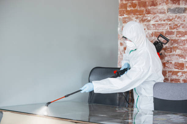 Asbestos and Lead Testing During Mold Inspection